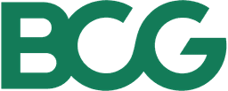 BCG Management Consultant