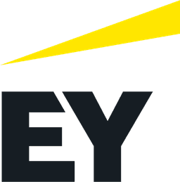 EY Auditor/Assurance Associate